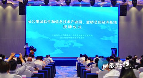 望城軟件園揚帆起航，專項扶持政策助力信息技術服務業騰飛
